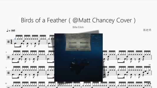 Birds of a Feather（@Matt Chancey Cover）【Billie Eilish】